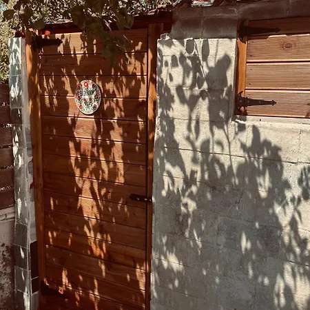 Nereid * Fanes (Rhodes)